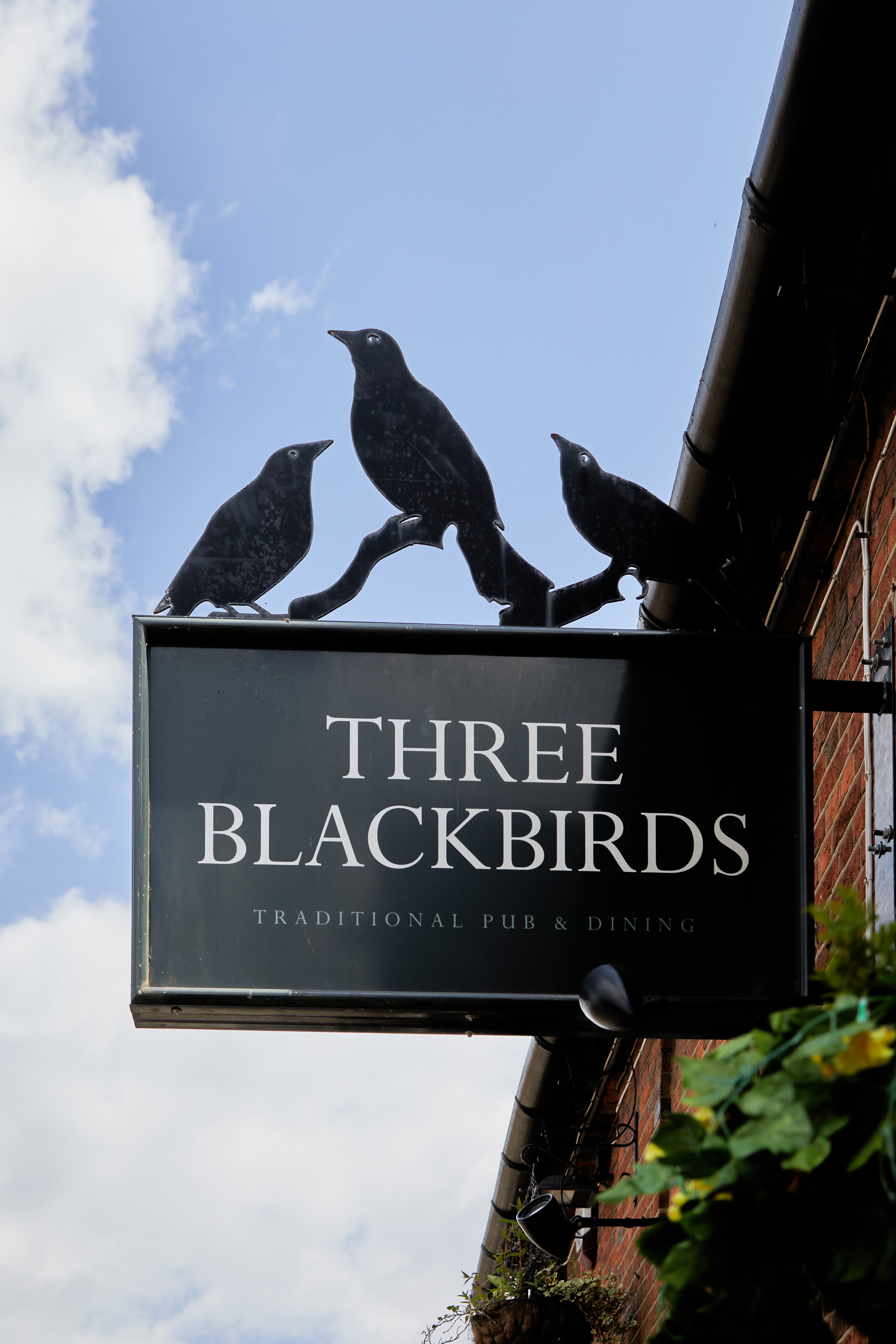 MyP-3BB_Pub Sign-2.jpg